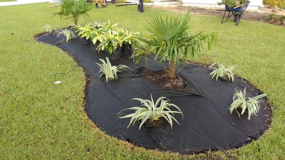 Expert residential landscaping in Bluffton, SC - Lowcountry Greenscapes