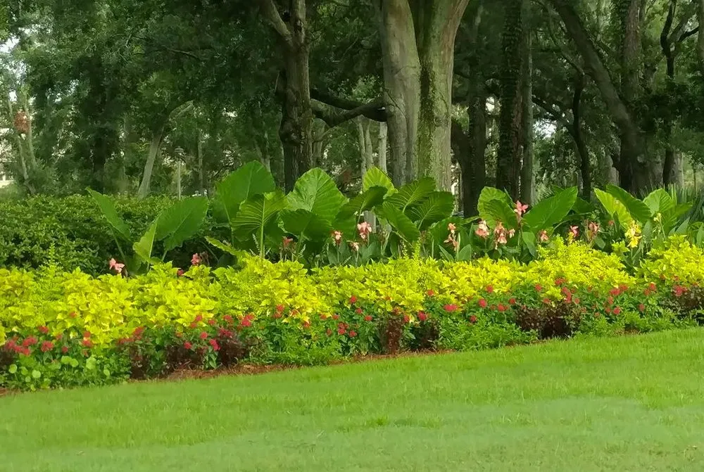 Top-rated residential landscaping in Bluffton, SC - Lowcountry Greenscapes