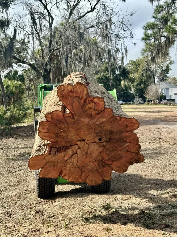 Trusted yard maintenance in Beaufort, SC - Lowcountry Land Improvements