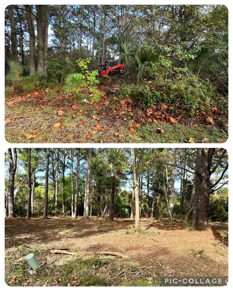 Professional landscape design in Beaufort, SC by Lowcountry Land Improvements
