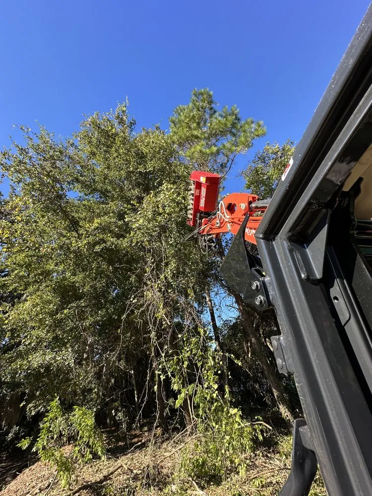 Custom landscape design in Beaufort, SC by Lowcountry Land Improvements