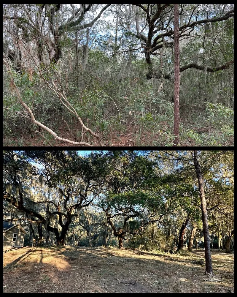 Custom landscaping services experts serving Beaufort, SC - Lowcountry Land Improvements