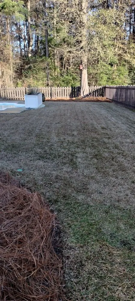 Expert lawn mowing service in Summerville, SC by Lowcountry Landscape and Design