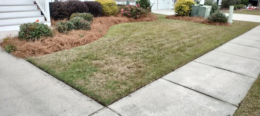 Affordable landscape design in Summerville, SC - Lowcountry Landscape and Design