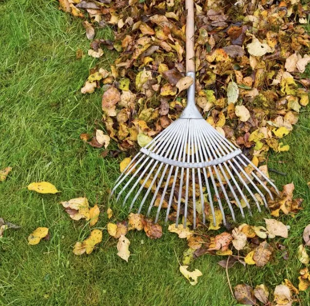 Local garden landscaping experts serving Summerville, SC - Lowcountry Landscape and Design