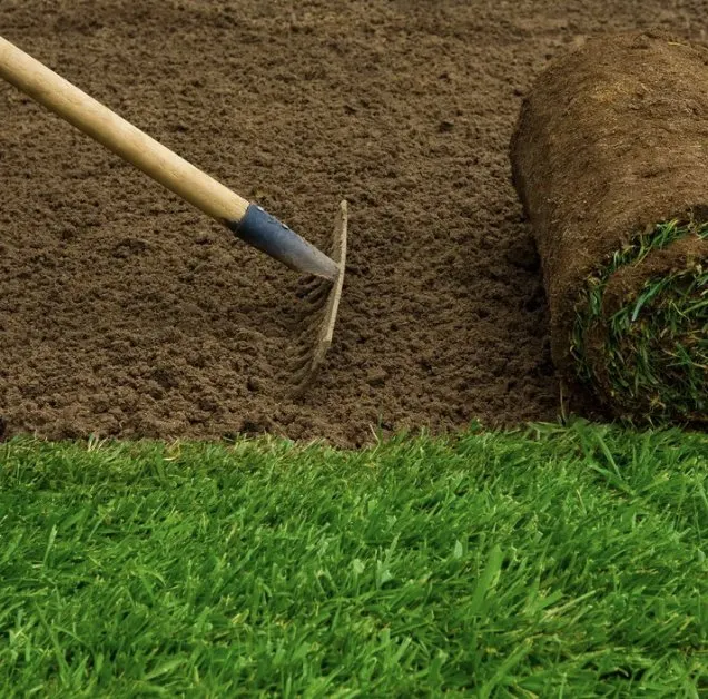 Affordable residential landscaping in Summerville, SC by Lowcountry Landscape and Design