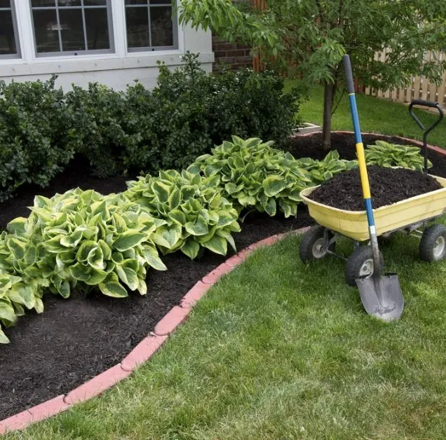 Professional residential landscaping in Summerville, SC by Lowcountry Landscape and Design