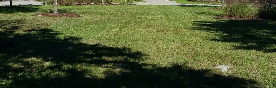 Top-rated lawn mowing service experts serving Walterboro, SC - Lowcountry Landscapers