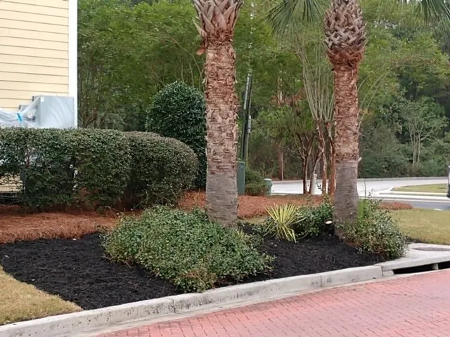 Custom residential landscaping for beautiful yards across Walterboro, SC - Lowcountry Landscapers