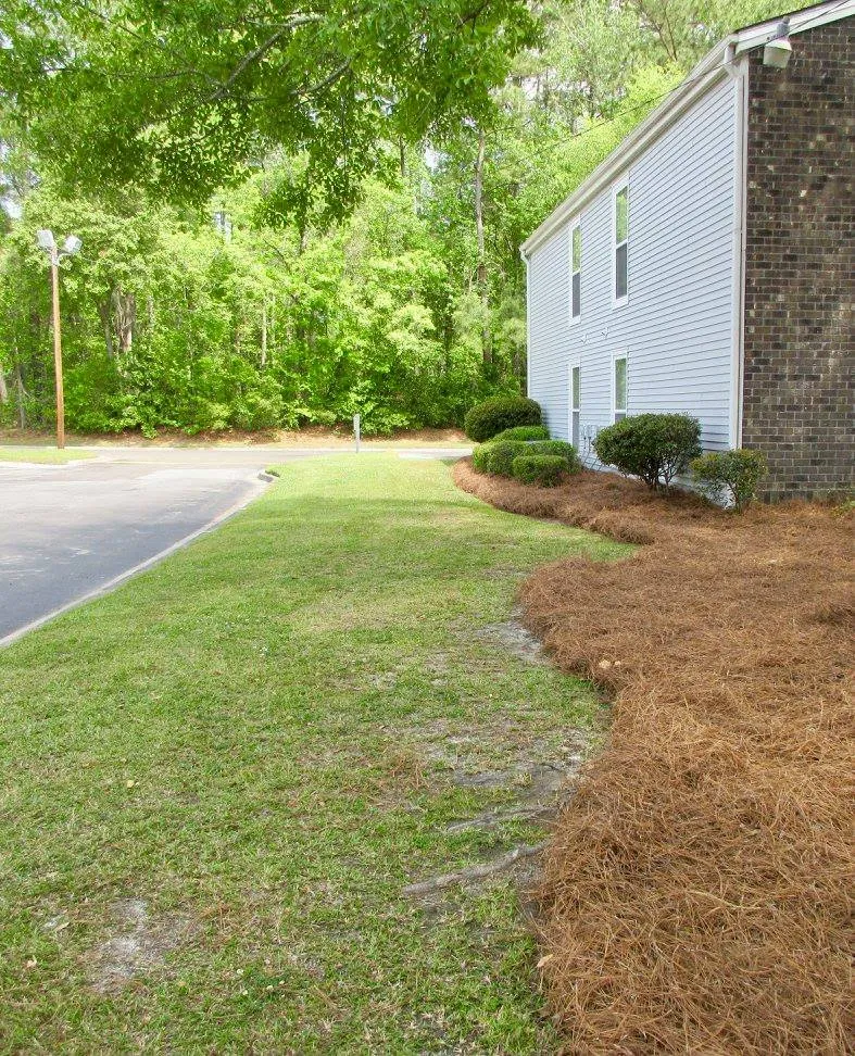 Local residential landscaping experts serving Walterboro, SC - Lowcountry Landscapers