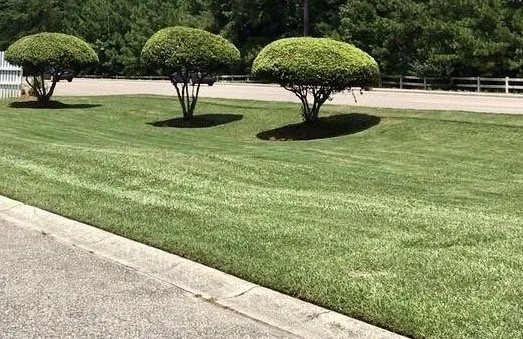 Trusted landscape design experts serving Walterboro, SC - Lowcountry Landscapers