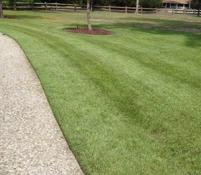 Expert outdoor landscaping for outdoor upgrades in Walterboro, SC by Lowcountry Landscapers