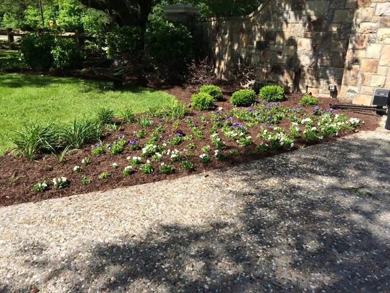 Reliable lawn mowing service with custom design in Walterboro, SC by Lowcountry Landscapers