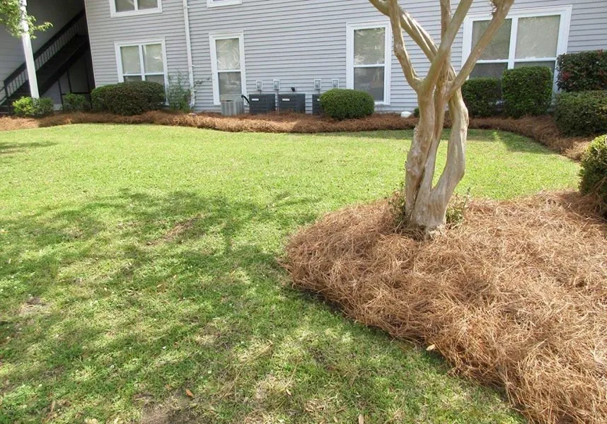 Reliable garden landscaping in Walterboro, SC by Lowcountry Landscapers