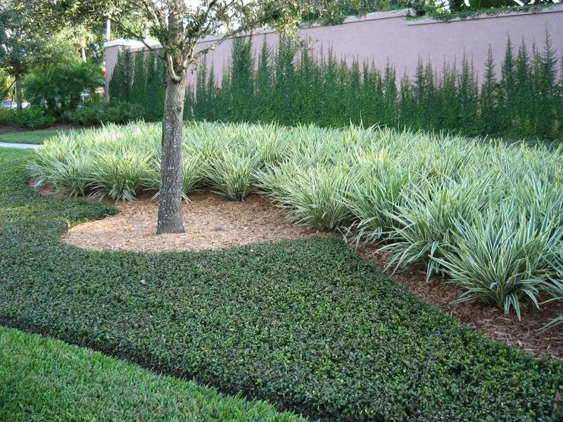 Affordable landscaping services for residential properties across Walterboro, SC - Lowcountry Landscapers