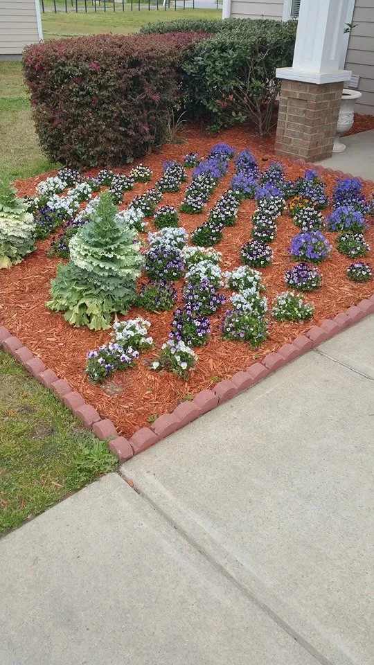 Professional yard cleanup service for homes across Walterboro, SC - Lowcountry Landscapers