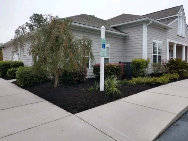 Professional yard maintenance for year-round maintenance across Walterboro, SC - Lowcountry Landscapers