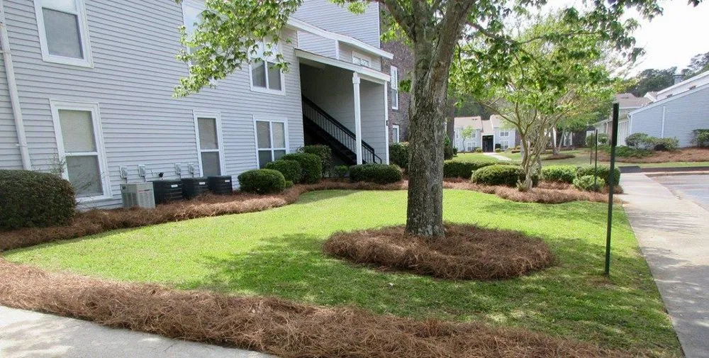 Expert yard cleanup service for year-round maintenance in Walterboro, SC by Lowcountry Landscapers
