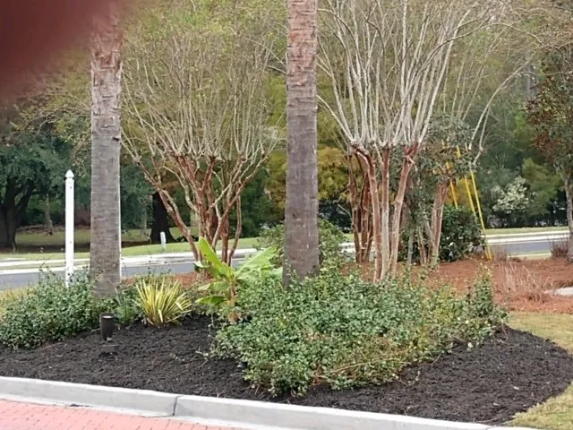 Custom residential landscaping for residential properties in Walterboro, SC by Lowcountry Landscapers