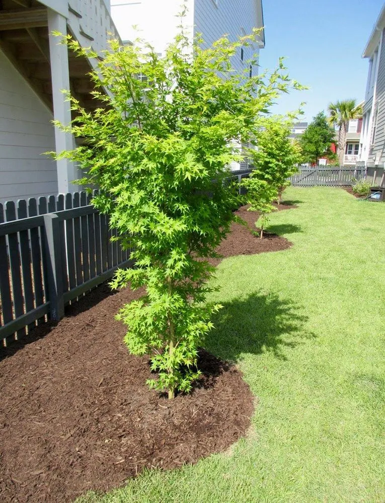 Top-rated yard maintenance for outdoor upgrades in Walterboro, SC by Lowcountry Landscapers