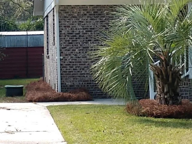 Affordable landscape design for outdoor upgrades in Walterboro, SC by Lowcountry Landscapers