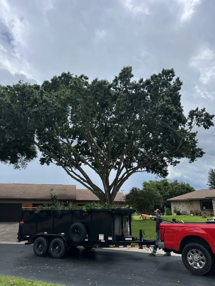 Trusted landscape design for outdoor upgrades across Sebring, FL - Lowcountry Landscaping