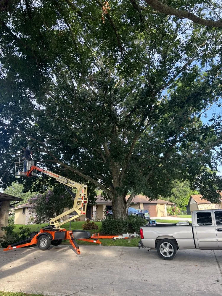 Professional yard cleanup service in Sebring, FL by Lowcountry Landscaping