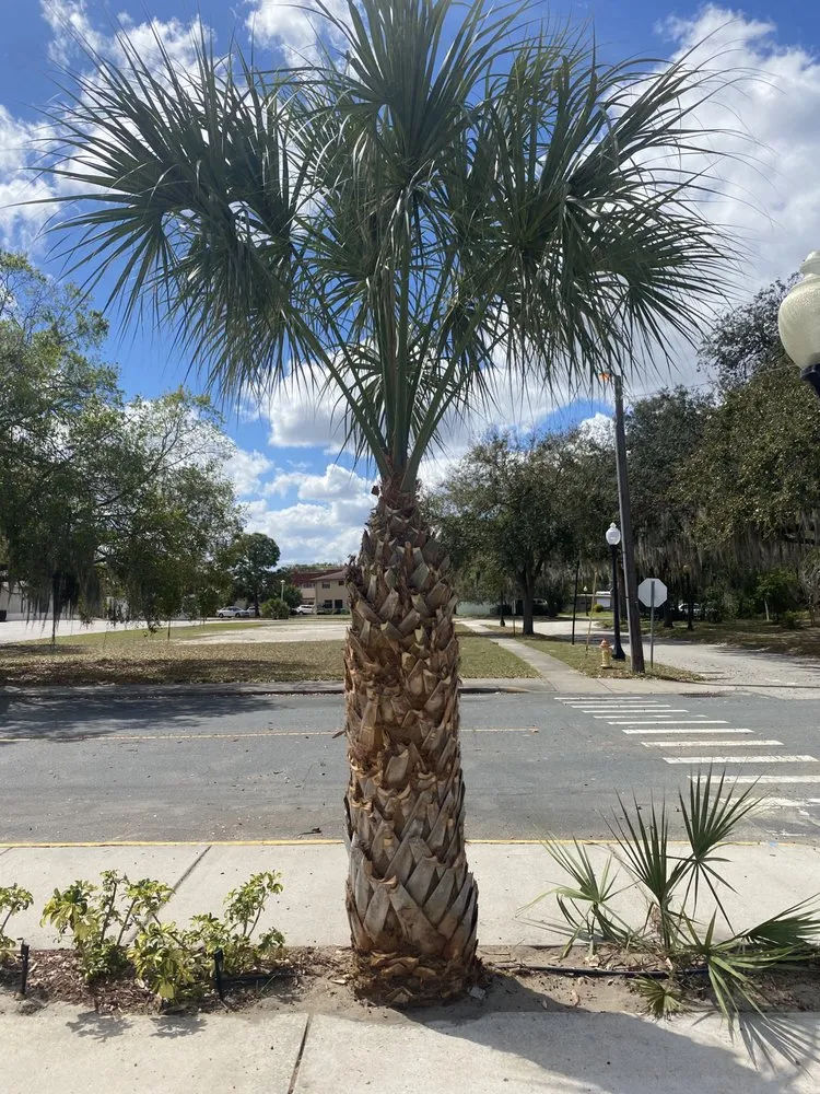 Expert landscape installation experts serving Sebring, FL - Lowcountry Landscaping