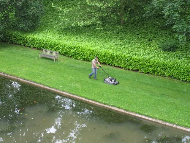 Reliable outdoor landscaping in Johns Island, SC by Lowcountry Lawn & Landscape, LLC