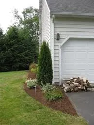 Custom yard maintenance in Johns Island, SC by Lowcountry Lawn & Landscape, LLC