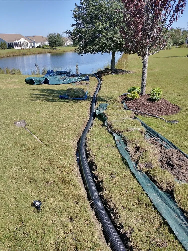 Top-rated lawn care service experts serving North Charleston, SC - Lowcountry Lawn In Order