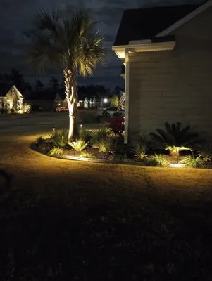 Lowcountry Lawn In Order