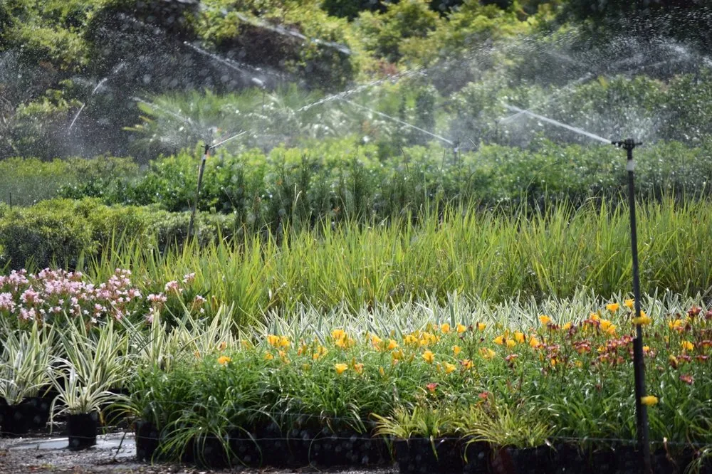 Custom lawn care service with custom design across Awendaw, SC - Lowcountry Nursery Company