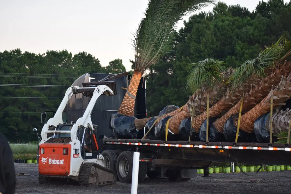 Trusted lawn mowing service in Awendaw, SC - Lowcountry Nursery Company