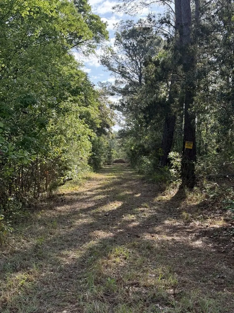 Custom lawn mowing service for outdoor upgrades in Beaufort, SC by Lowcountry Professional Services