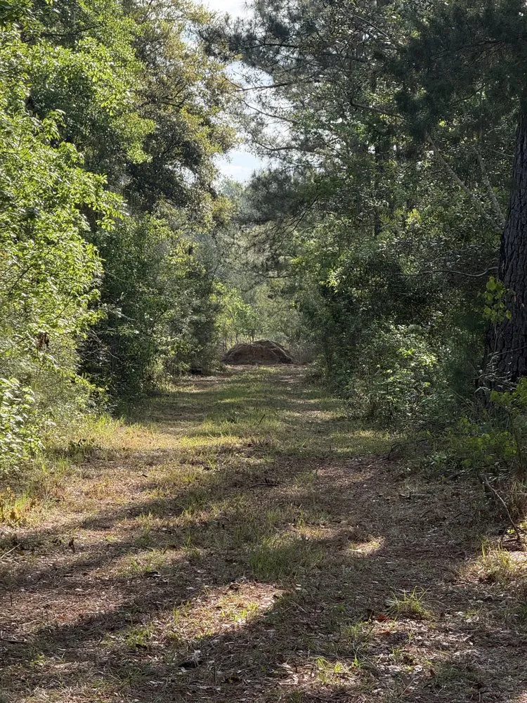 Trusted residential landscaping in Beaufort, SC - Lowcountry Professional Services