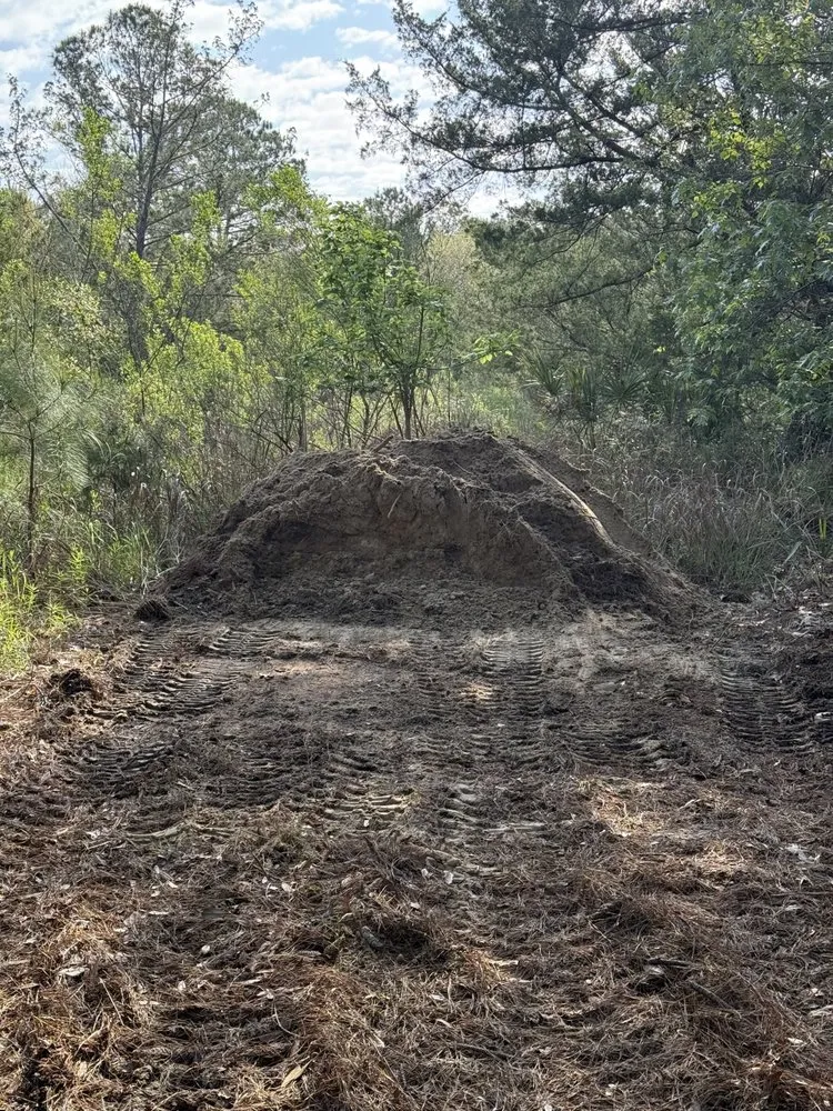 Trusted lawn care service in Beaufort, SC by Lowcountry Professional Services