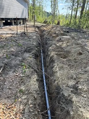 Lowcountry Professional Services Logo