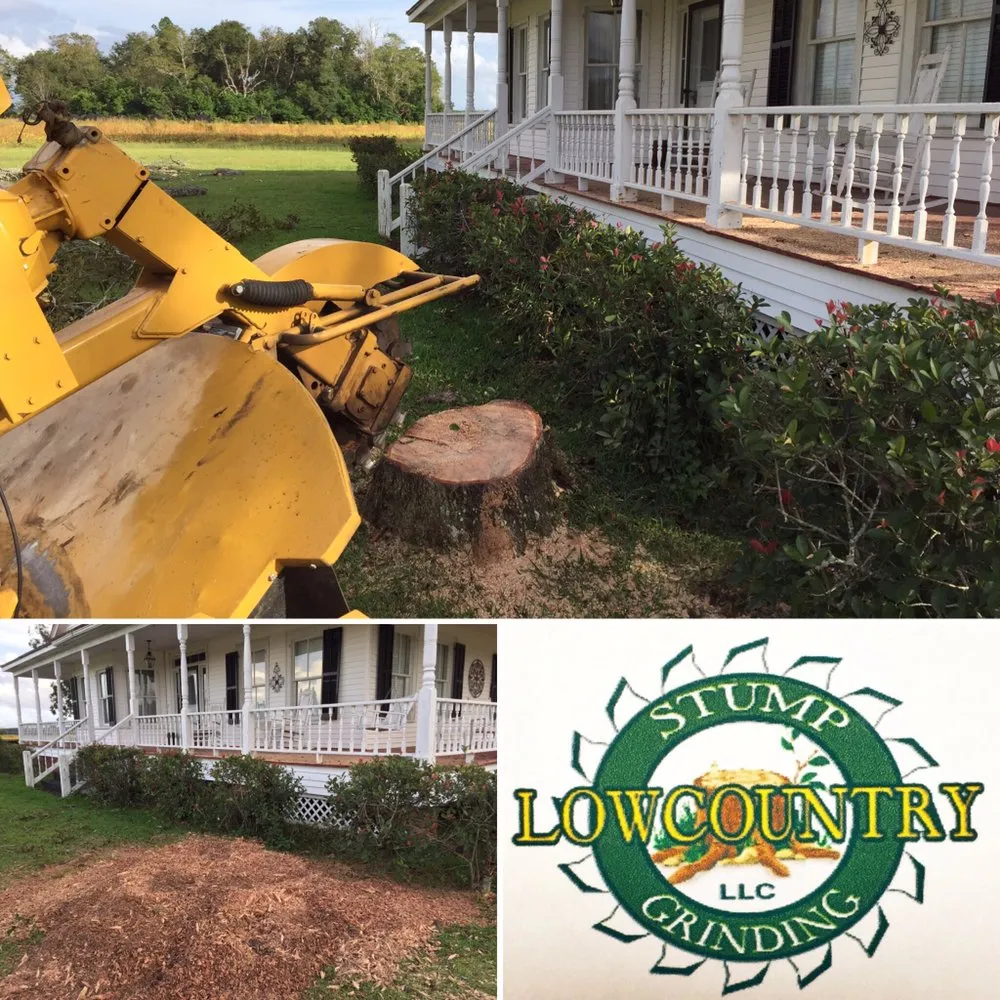 Professional yard cleanup service in Walterboro, SC by Lowcountry Stump Grinding