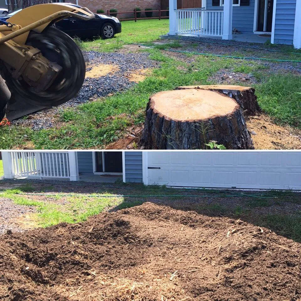 Top-rated residential landscaping experts serving Walterboro, SC - Lowcountry Stump Grinding