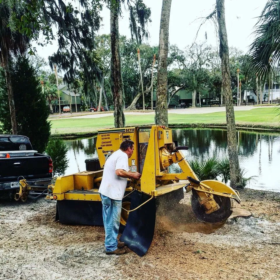 Affordable lawn care service in Walterboro, SC - Lowcountry Stump Grinding