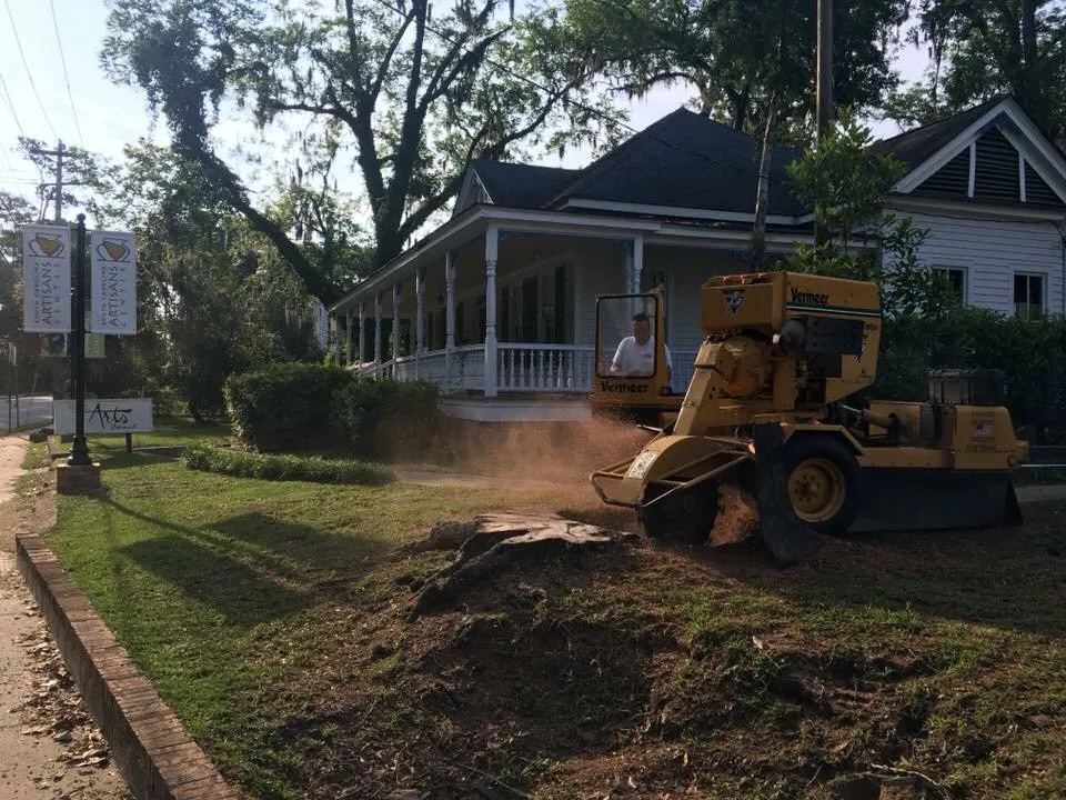 Custom yard maintenance for year-round maintenance across Walterboro, SC - Lowcountry Stump Grinding