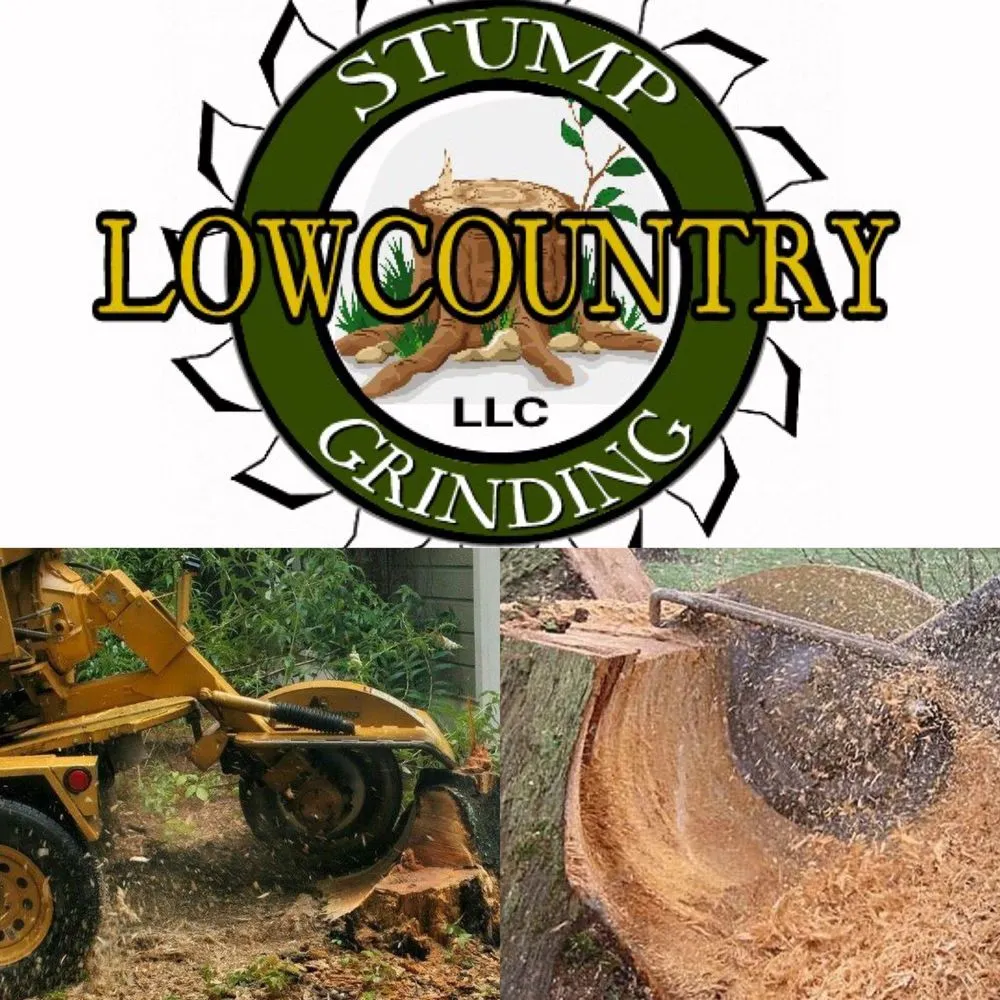 Expert outdoor landscaping for outdoor upgrades across Walterboro, SC - Lowcountry Stump Grinding