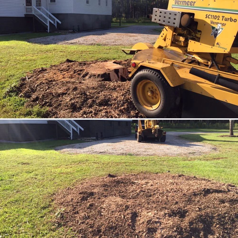 Affordable yard maintenance for year-round maintenance in Walterboro, SC by Lowcountry Stump Grinding