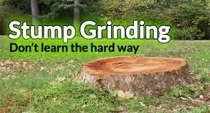 Custom lawn mowing service for beautiful yards in Walterboro, SC by Lowcountry Stump Grinding