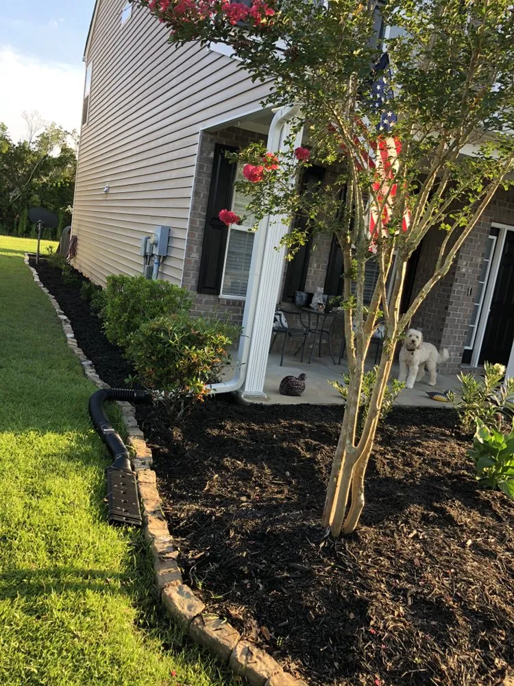 Reliable lawn care service in Bluffton, SC by Lowcountry Yard Solutions