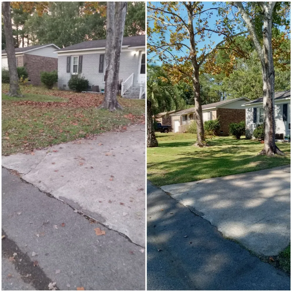 Professional outdoor landscaping for beautiful yards across Moncks Corner, SC - Lowcountrylawnmaster