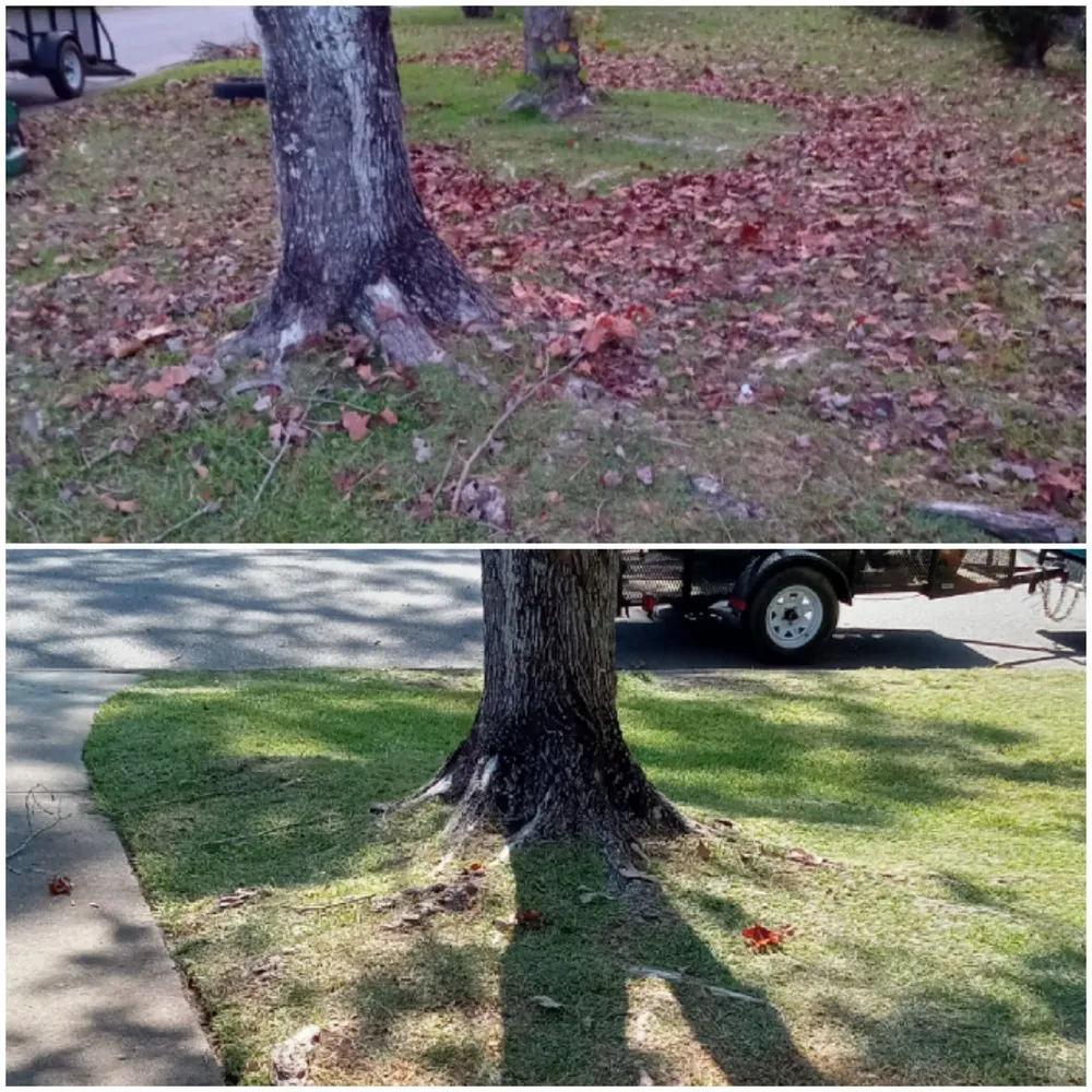 Expert lawn mowing service in Moncks Corner, SC - Lowcountrylawnmaster