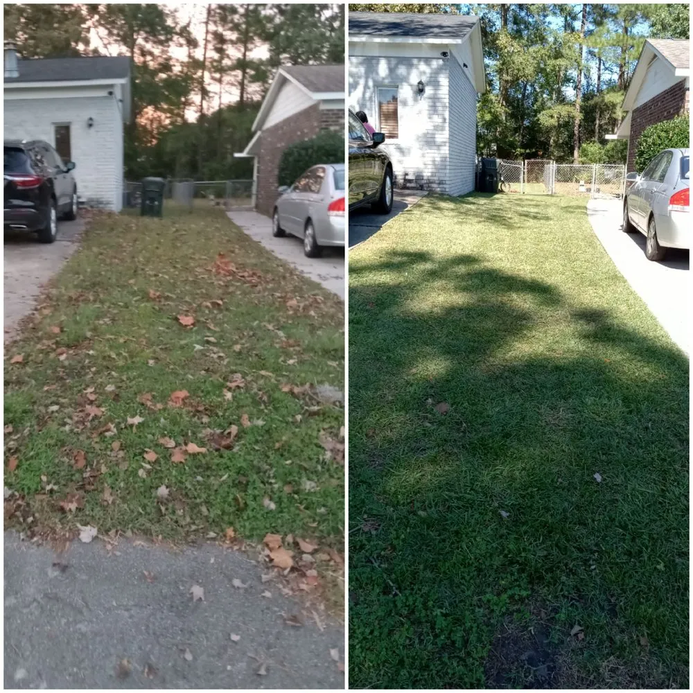Professional yard cleanup service in Moncks Corner, SC - Lowcountrylawnmaster