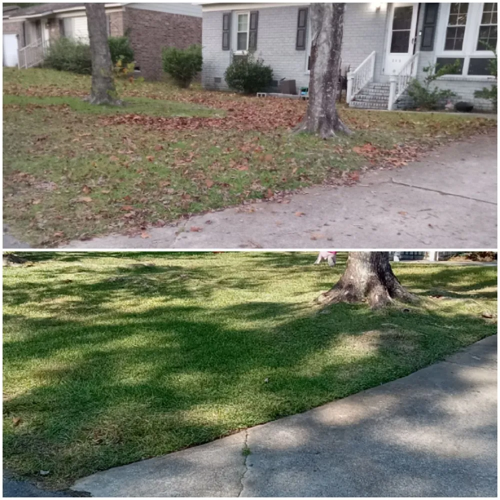 Top-rated yard maintenance in Moncks Corner, SC - Lowcountrylawnmaster